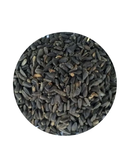 Pipa de girasol micro DISFA 750 gr para uso ornitológico